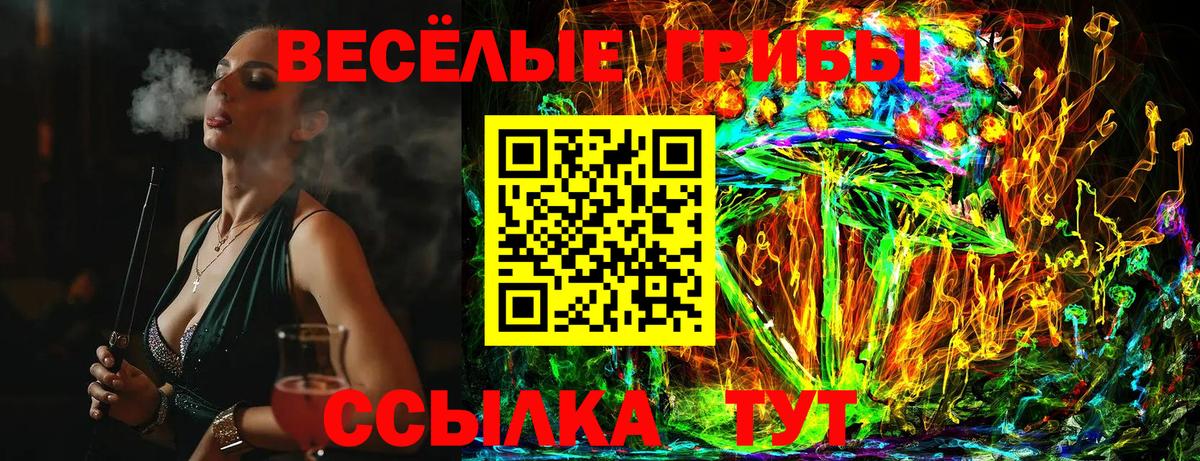 Псилоцибиновые грибы GOLDEN TEACHER  Вход с VPN  Тайшет  Псилоцибиновые грибы прущие грибы 