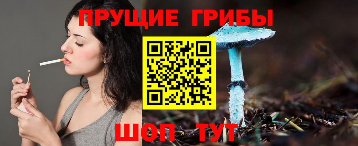 Псилоцибиновые грибы Psilocybine cubensis Тайшет